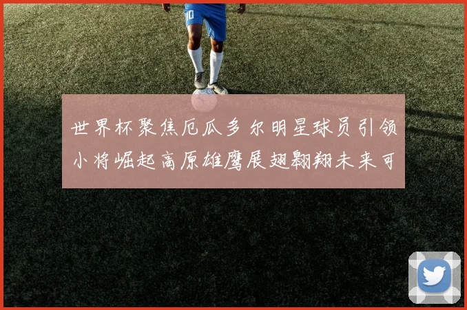 世界杯聚焦厄瓜多尔明星球员引领小将崛起高原雄鹰展翅翱翔未来可期