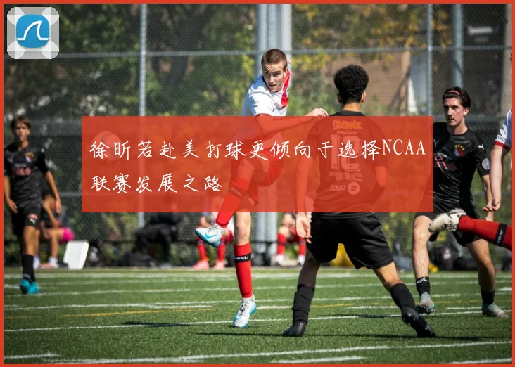 徐昕若赴美打球更倾向于选择NCAA联赛发展之路