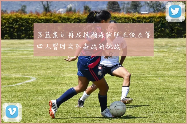 男篮集训再启杨瀚森徐昕王俊杰等四人暂时离队备战新挑战